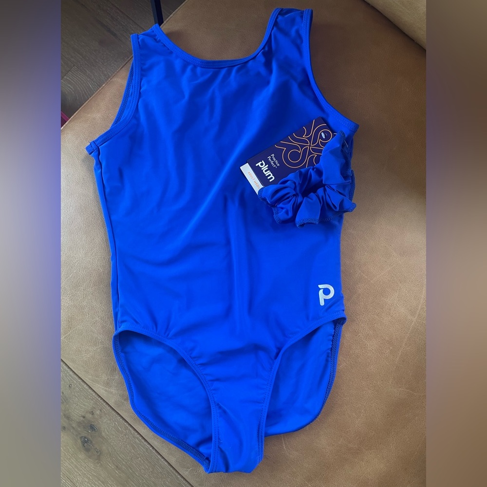 NWT Plum Leotard - bright blue